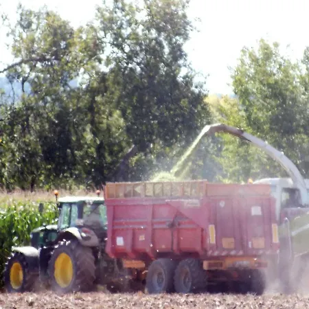 Bed & Breakfast Country