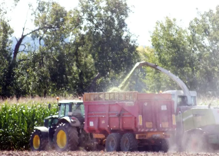 Bed & Breakfast Country